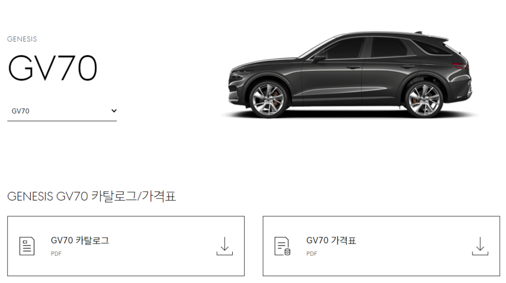 Read more about the article 제네시스 GV70/G70 제플릭스 헤드레스트 전용 엠블럼