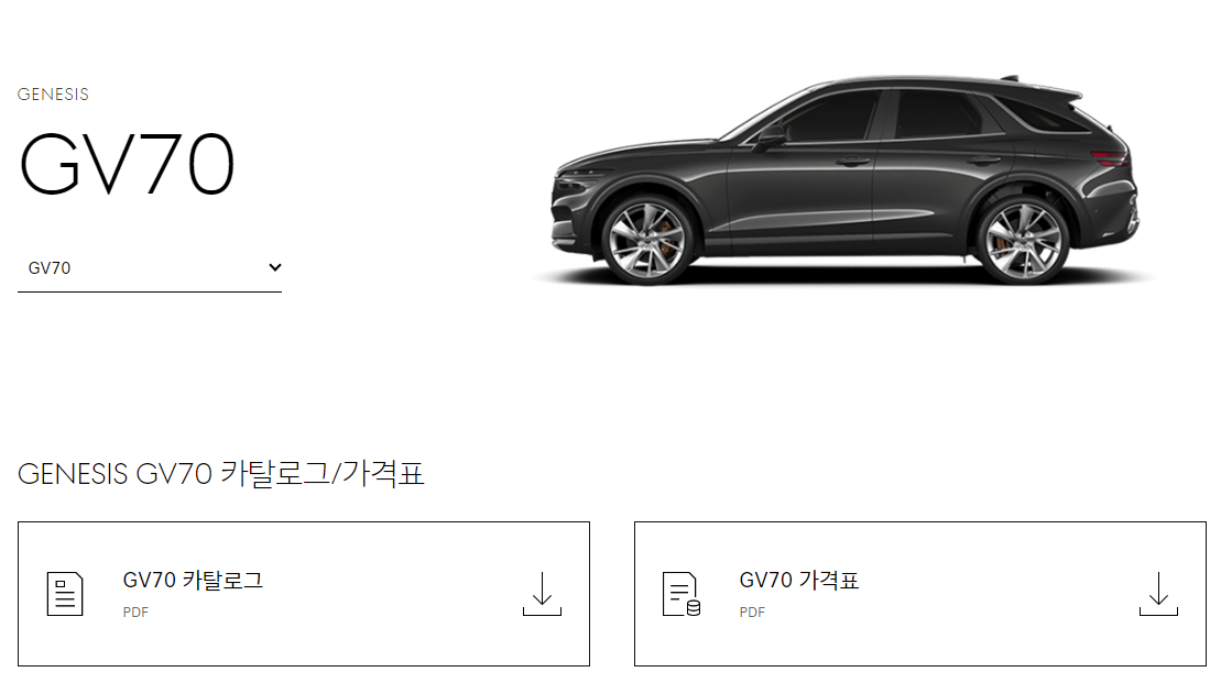 You are currently viewing 제네시스 GV70/G70 제플릭스 헤드레스트 전용 엠블럼